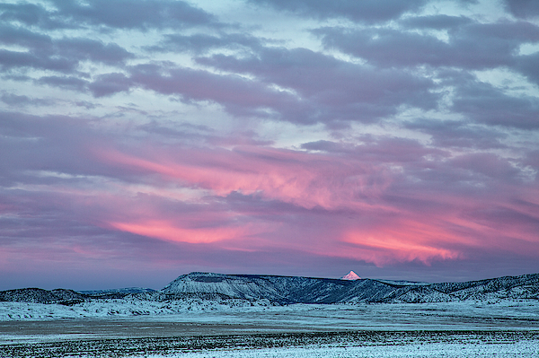 Pink Peak Peeking by Denise Bush Pink Peak Peeking by Denise Bush